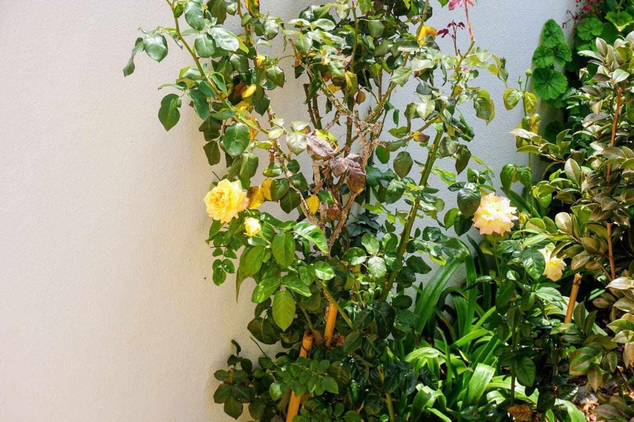 !Your Home In Madeira 丰沙尔 外观 照片