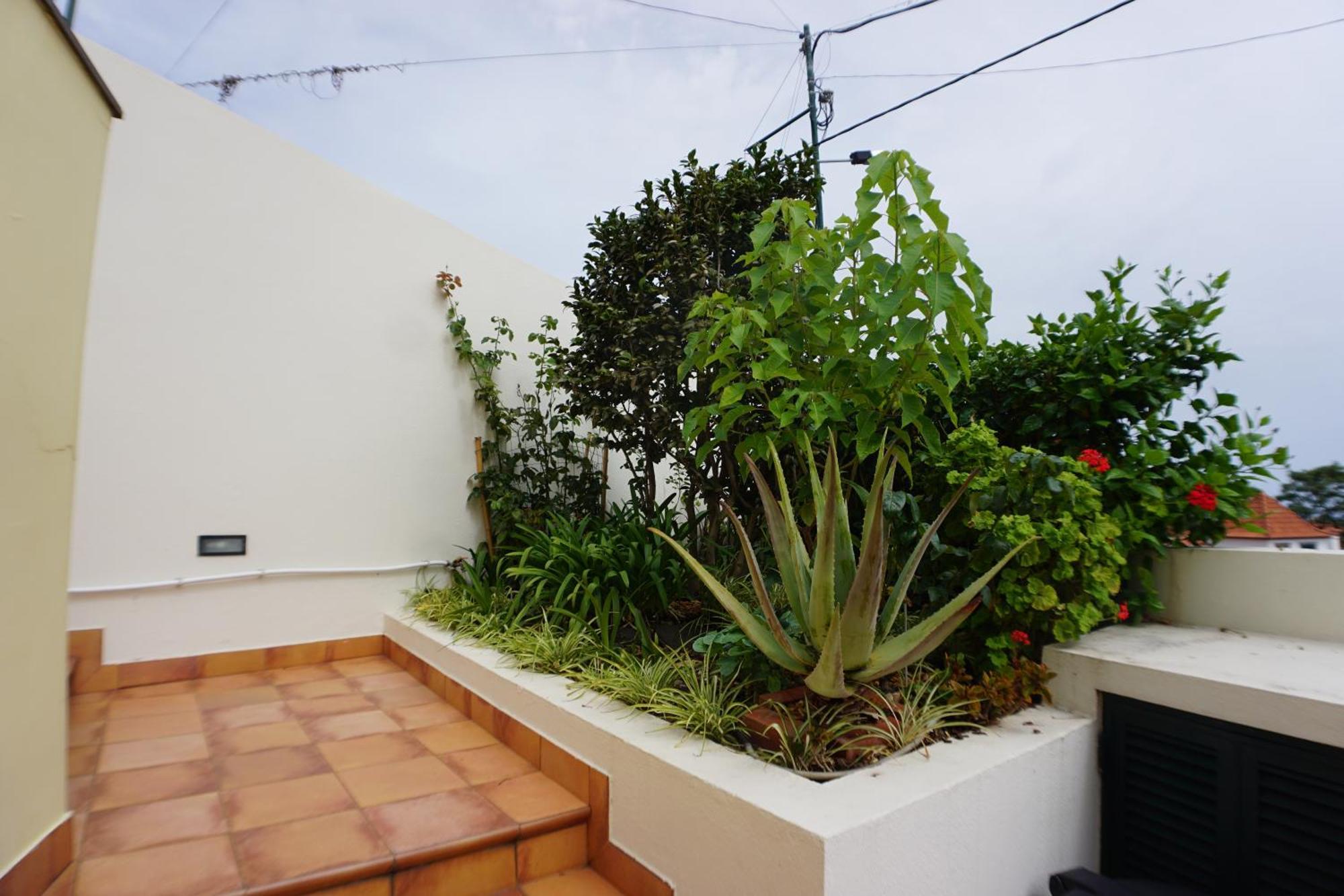 !Your Home In Madeira 丰沙尔 外观 照片