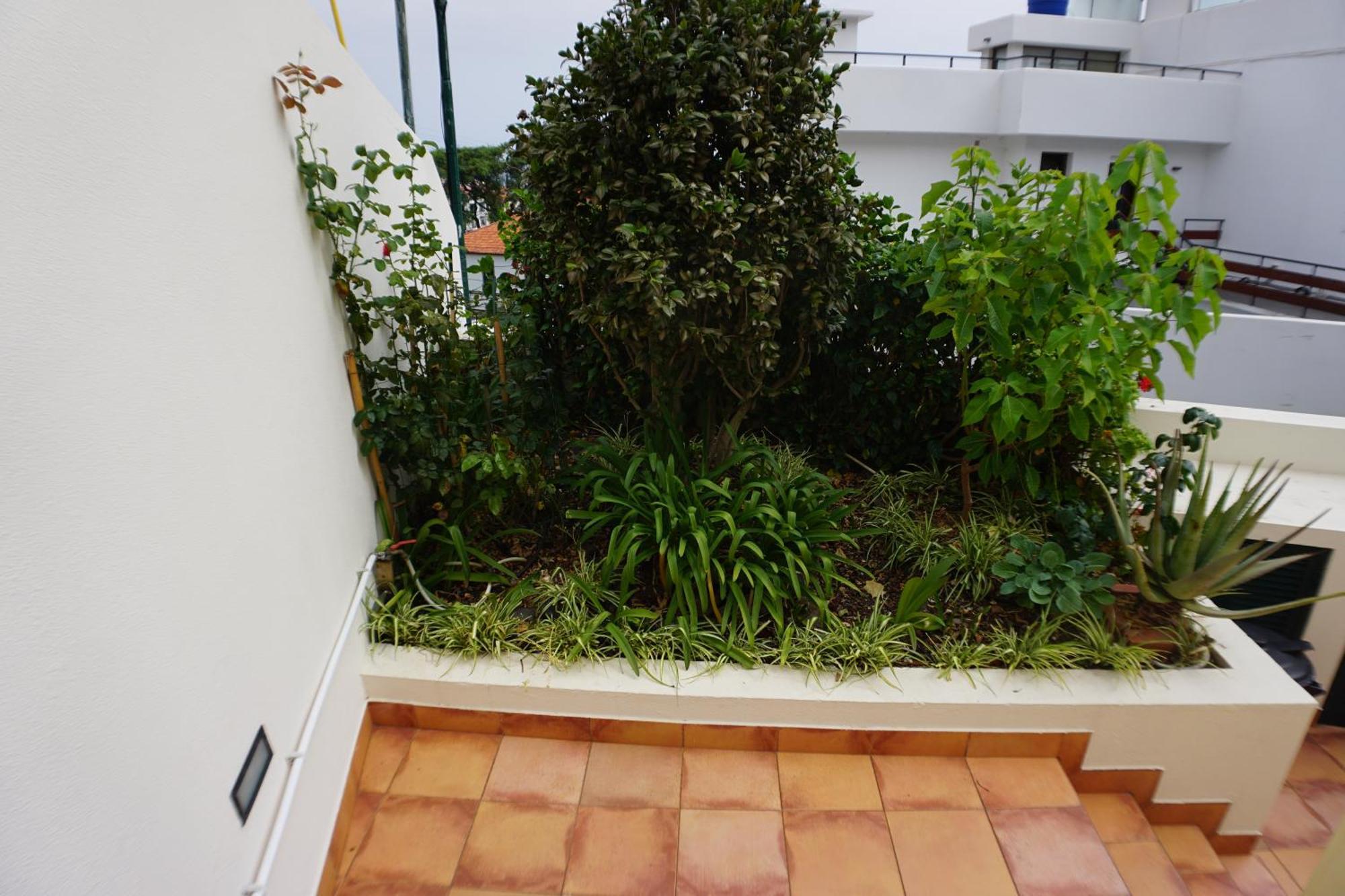!Your Home In Madeira 丰沙尔 外观 照片